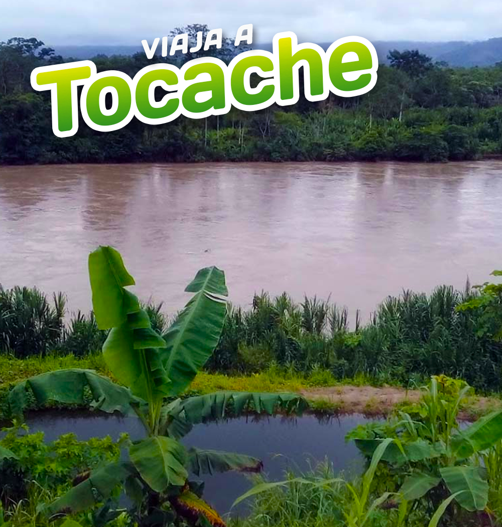 Agencia Tocache
