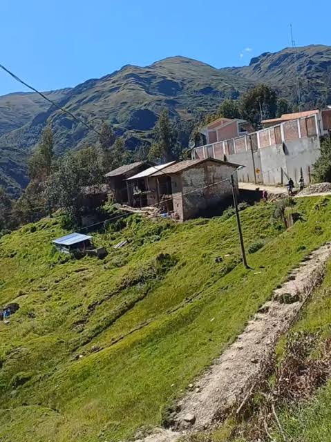 Tambo